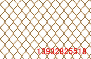 鍍鋅鐵絲網(wǎng)